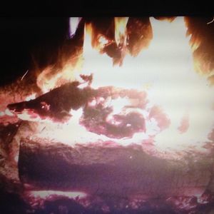 Meet your Posher, Lance